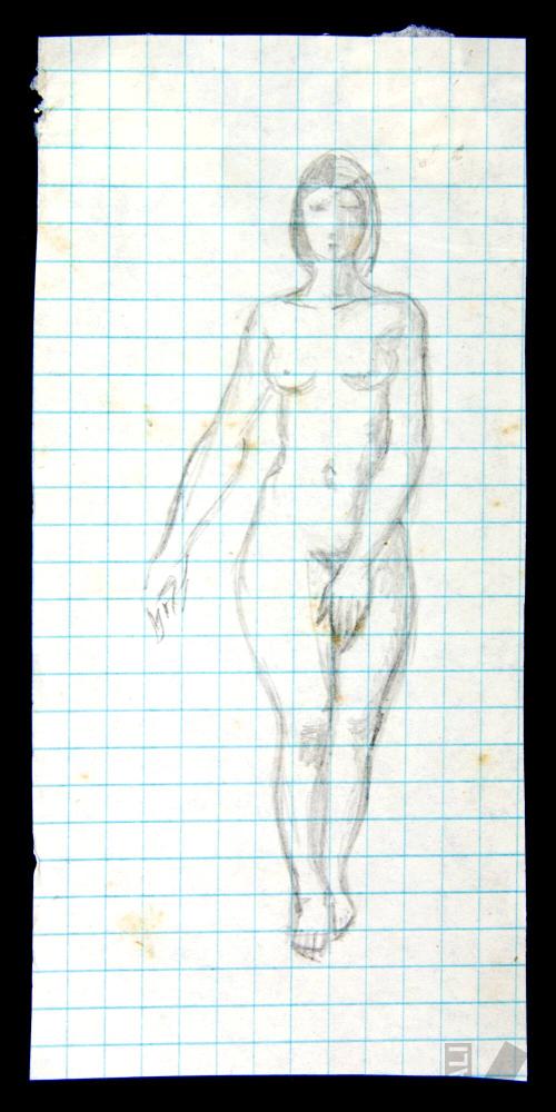 Estudio de desnudo femenino