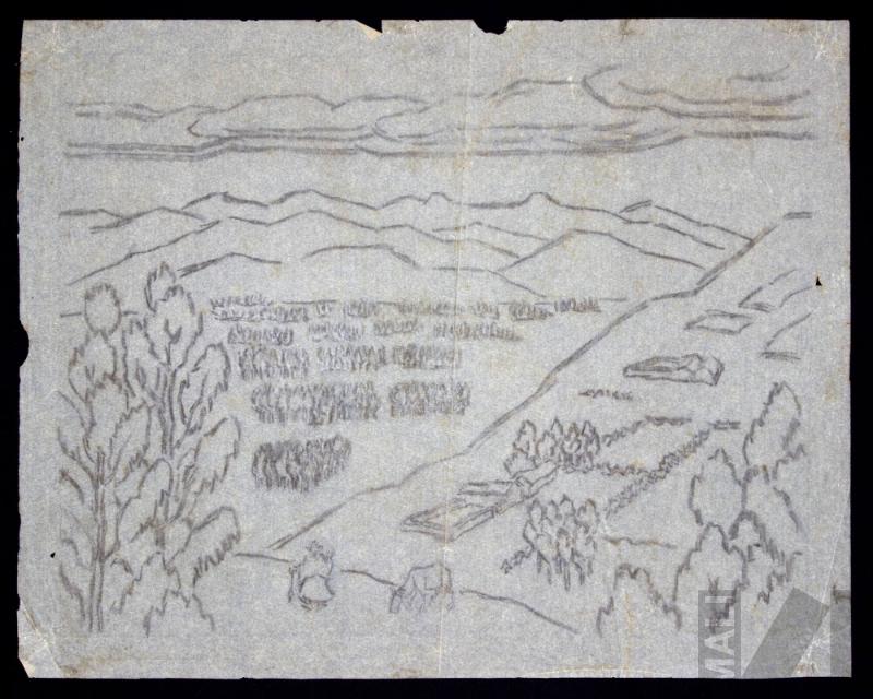 Estudio para 'Cajamarca'