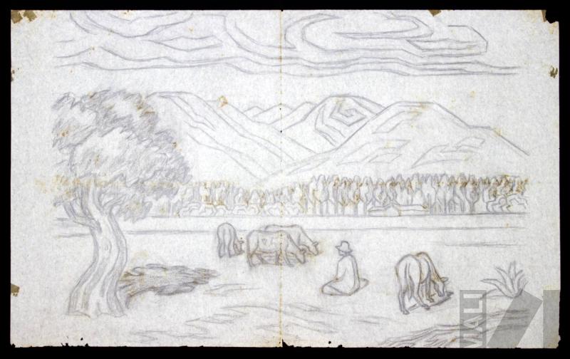 Estudio para 'Campiña de Cajamarca'