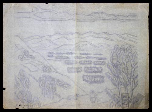 Estudio para 'Cajamarca'