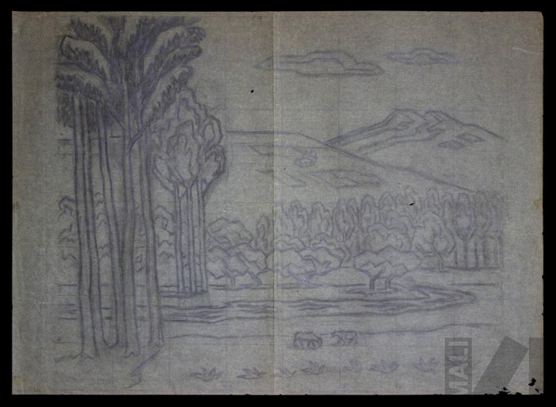 Estudio de campiña cajamarquina