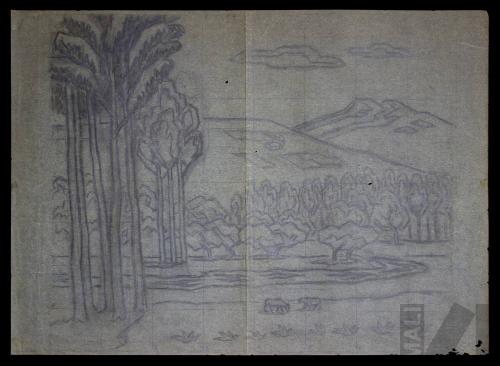 Estudio de campiña cajamarquina