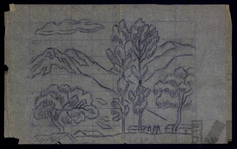 Estudio de paisaje andino