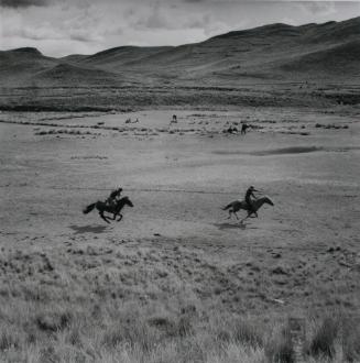 Jinetes al galope, Canas, Cusco