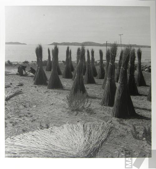 Totora, Puno
