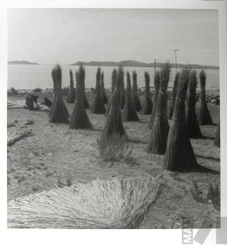 Totora, Puno
