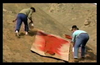 Diez cantutas en Cieneguilla
