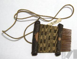 Peine de espinas de cactus