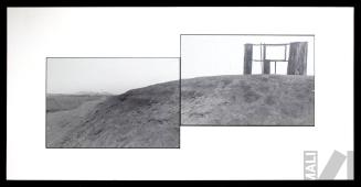 La vida en el desierto costeño
