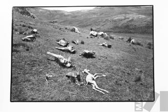 La sequía se lo lleva todo
