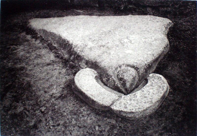 Condor Stone. Serie Machu Picchu Suite
