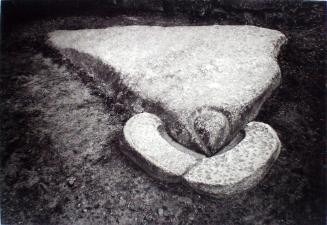 Condor Stone. Serie Machu Picchu Suite
