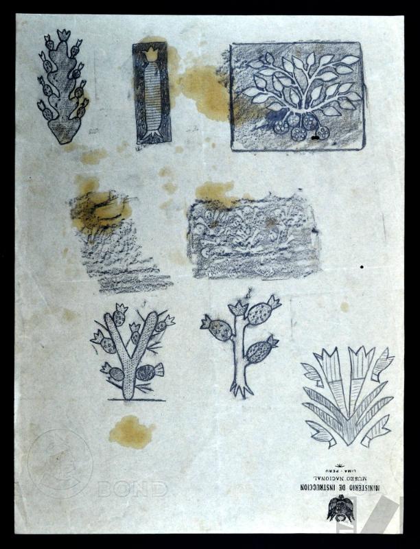 Diseños de vegetación andina