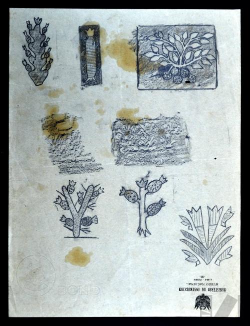 Diseños de vegetación andina