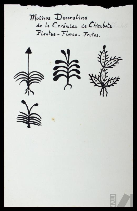 Motivos decorativos geométricos de la cerámica de Chimbote, plantas, flores y frutos