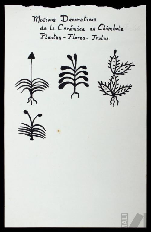 Motivos decorativos geométricos de la cerámica de Chimbote, plantas, flores y frutos