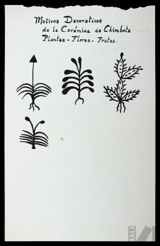 Motivos decorativos geométricos de la cerámica de Chimbote, plantas, flores y frutos