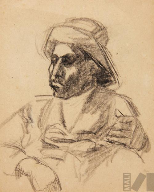 Estudio de indígena