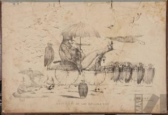 Gratitud de los gallinazos. Serie Adefecios