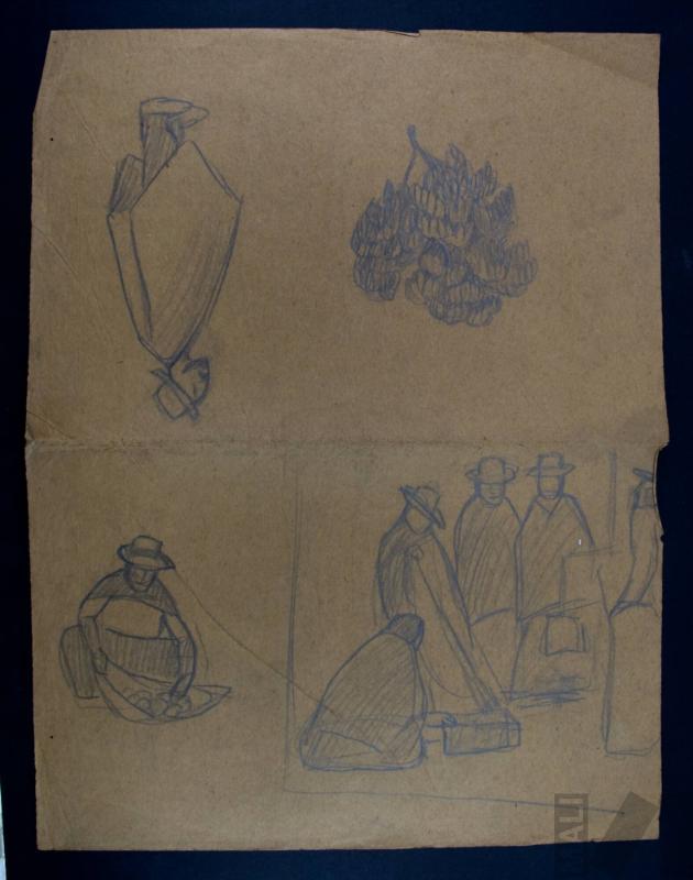 Estudio de tipos indígenas y arbusto