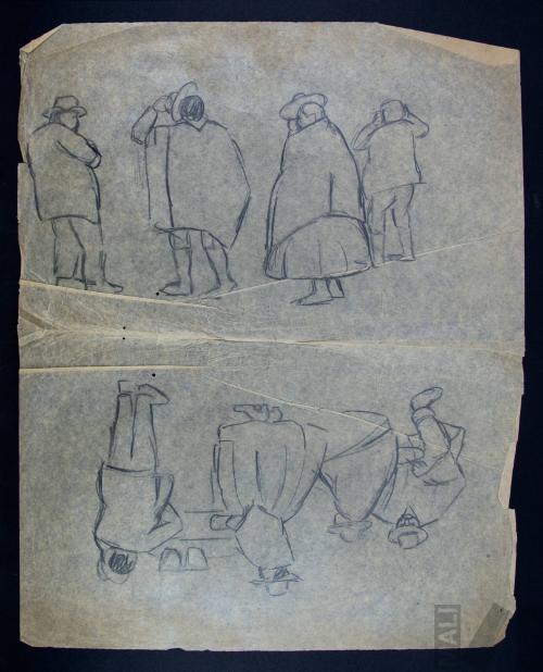 Estudio de grupos indígenas