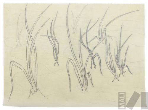 Estudio de vegetación