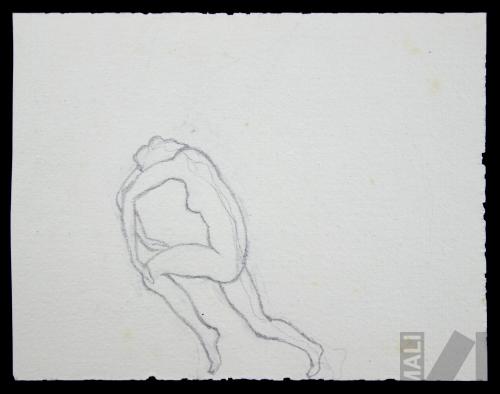 Estudio de figura femenina