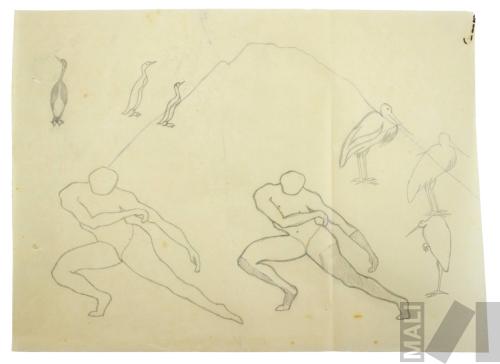 Estudio de figuras en movimiento