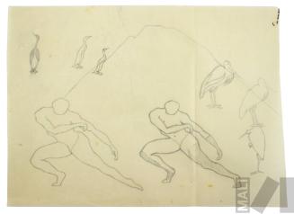 Estudio de figuras en movimiento