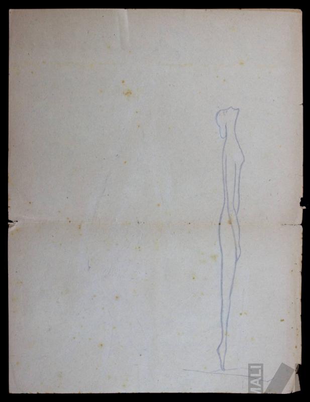 Estudio de figura femenina