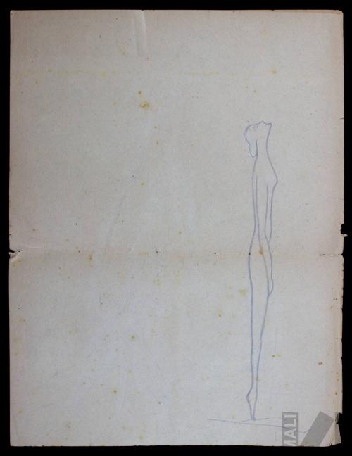 Estudio de figura femenina