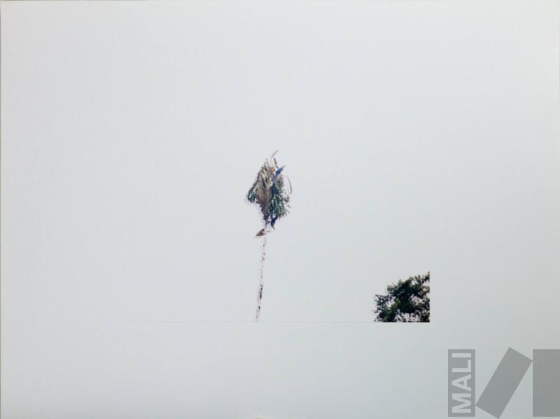 Fragmentos románticos de la Amazonía VII