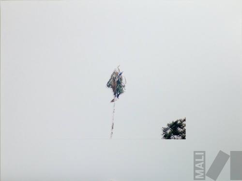 Fragmentos románticos de la Amazonía VII