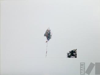 Fragmentos románticos de la Amazonía VII