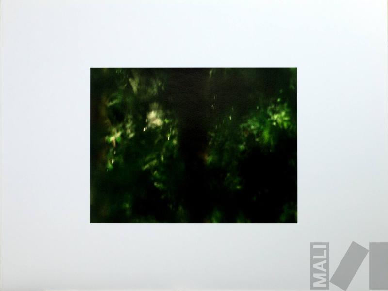 Fragmentos románticos de la Amazonía IX