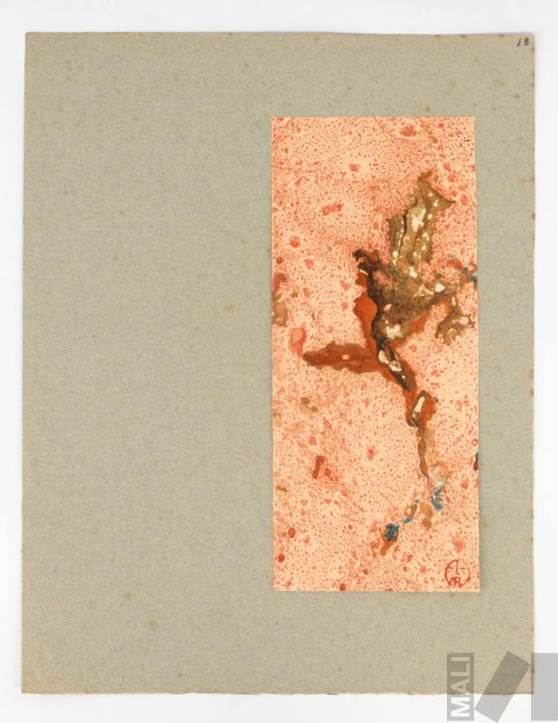 Orquidia flor de oro