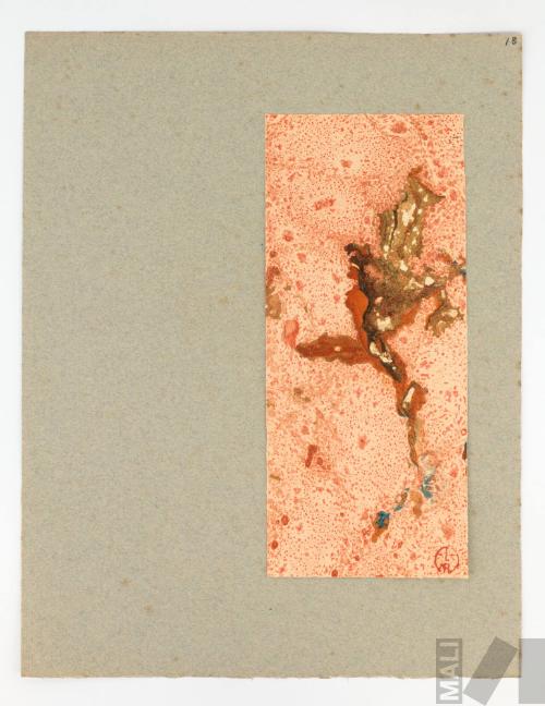 Orquidia flor de oro