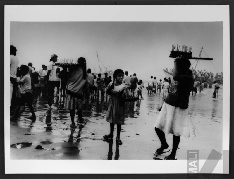 Caleta de Santa Rosa. Serie La costa
