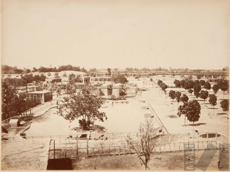 Laguna para los cisnes, Parque de la Exposición, Lima