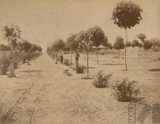 Alameda del Parque de la Exposición