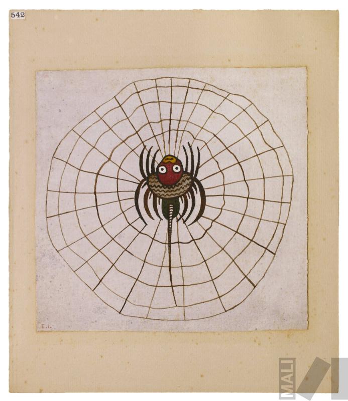 Estudio de motivo Nasca (araña)