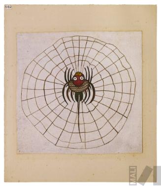Estudio de motivo Nasca (araña)