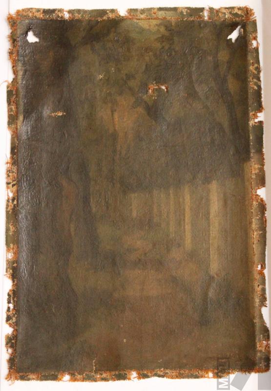 Paisaje de árboles y pared blanca