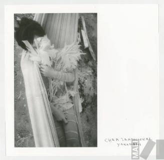 Cura tradicional Yanomami