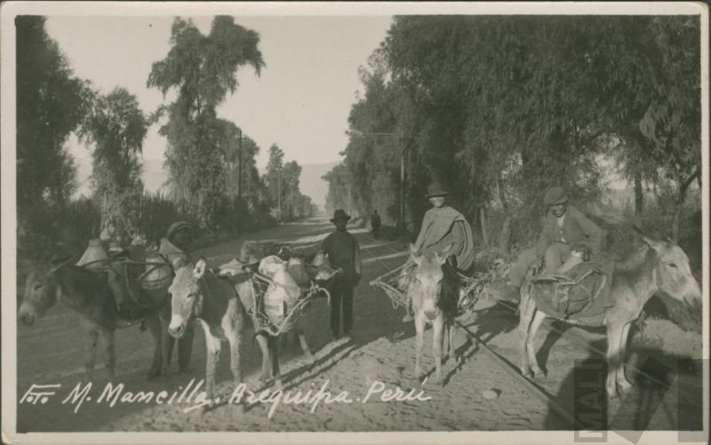 Vista de campiña arequipeña