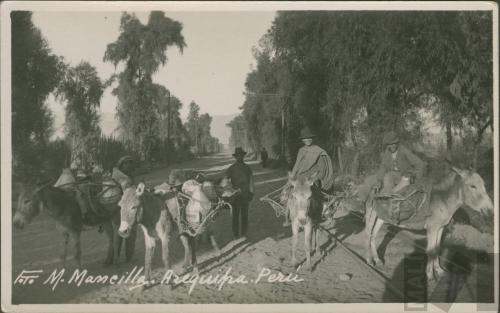 Vista de campiña arequipeña