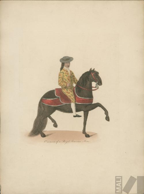 Overseer of a Royal Peruvian Mine