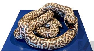 Ronin (Boa)
