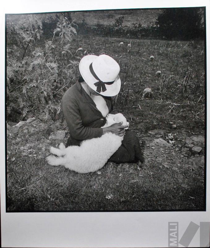 Catalina Valentin´s Lamb, Callejón de Conchucos
