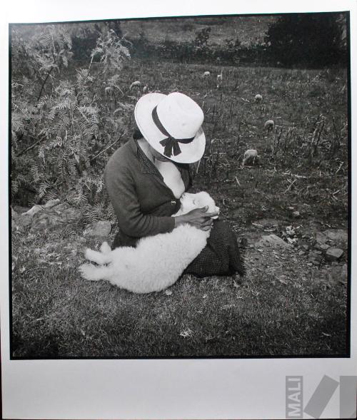 Catalina Valentin´s Lamb, Callejón de Conchucos
